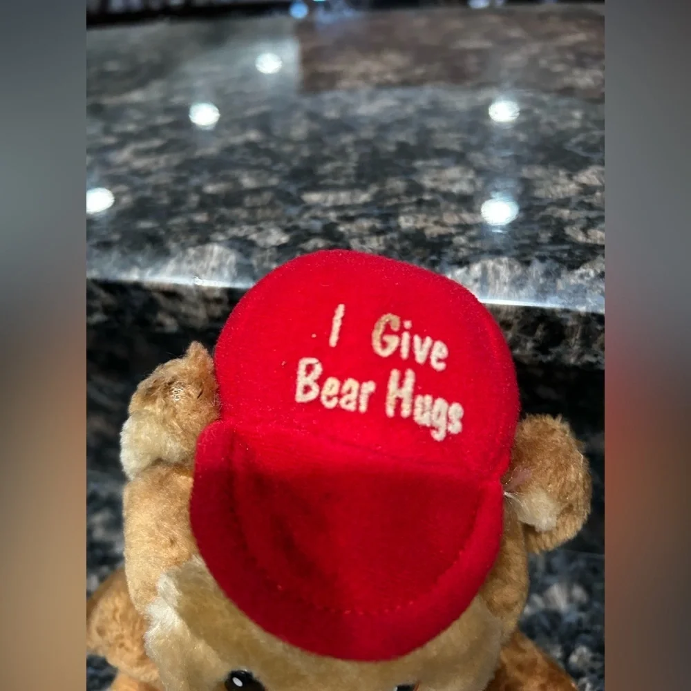 Vintage Russ Luv Pets Teddy Bear Plush I Give Bear Hugs Red Hat Stuffed Animal - Picture 6 of 8